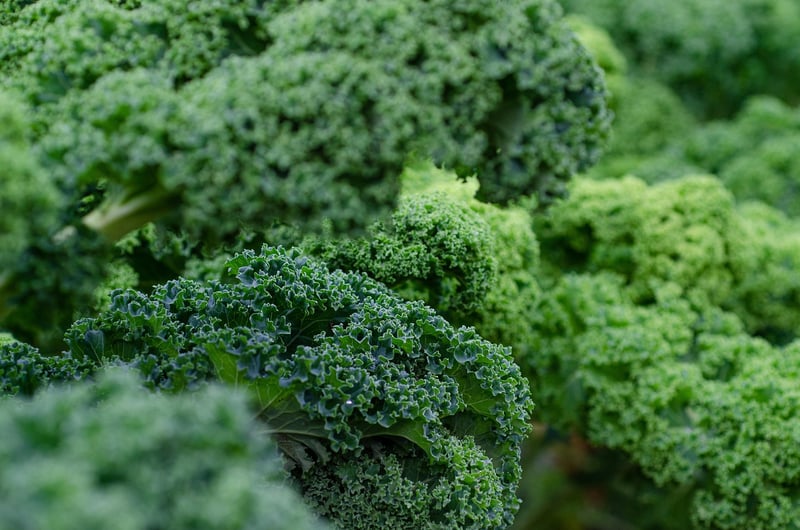 Leafy Greens