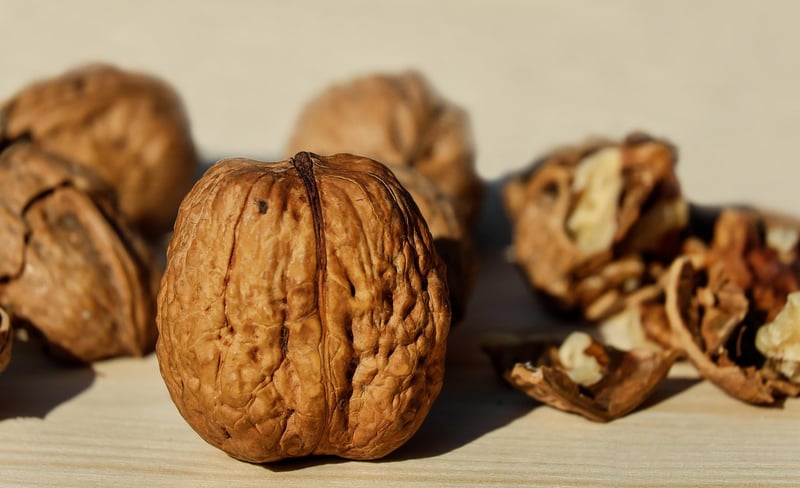 Nuts and Seeds